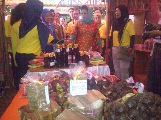 Ibu Gubernur Jambi Yusniana HBA berkunjung ke stan Kabupaten Kerinci